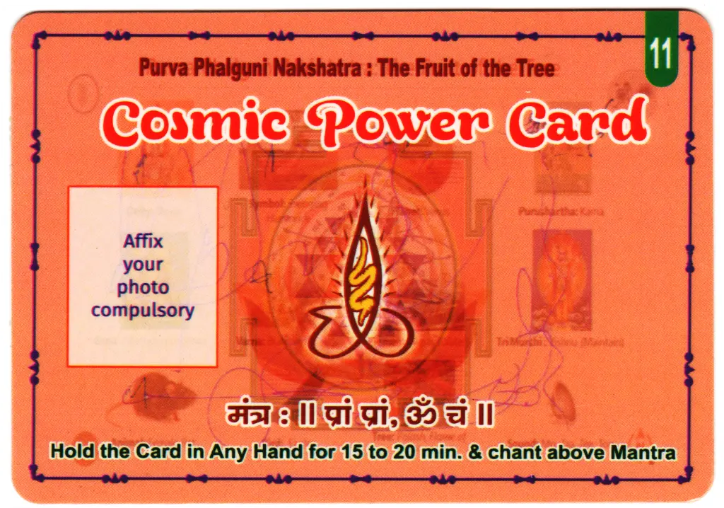 PURVA PHALG_B.webp