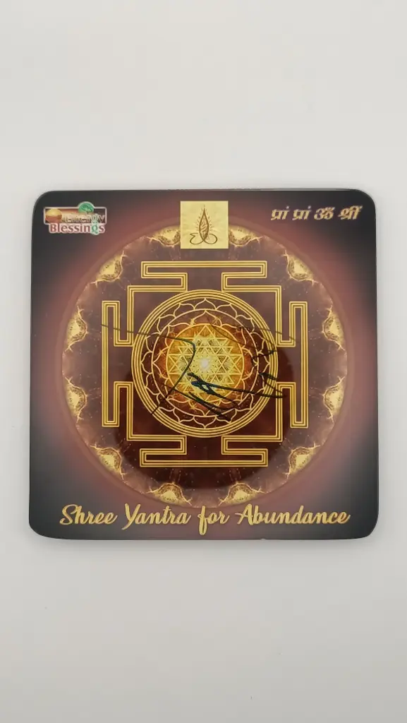 Cosmic Shree Yantra Plate (6/6)