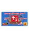 Energised Rashi Card (Aquarius)