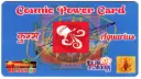 Rashi Card (Aquarius)