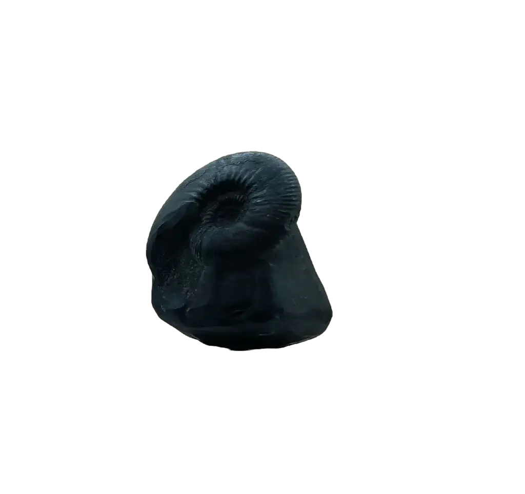 Sudarshan Shaligram