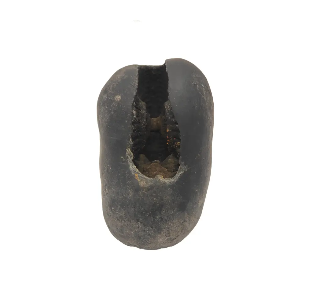 Lakshmi Narayan Shaligram