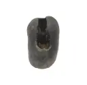 Lakshmi Narayan Shaligram