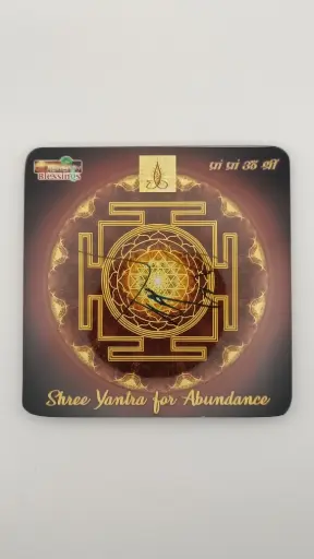Cosmic Shree Yantra Plate (6/6)