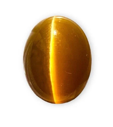 Cat's Eye (Lehsunia)