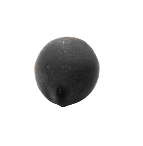 Ladu Gopal Shaligram