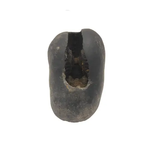 Lakshmi Narayan Shaligram