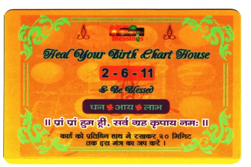 Heal Your Birth Chart House (2-6-11) Card